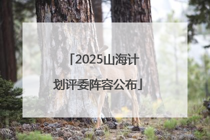 2025山海计划评委阵容公布