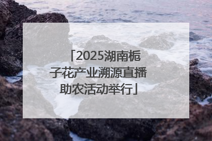 2025湖南栀子花产业溯源直播助农活动举行
