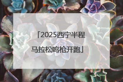 2025西宁半程马拉松鸣枪开跑
