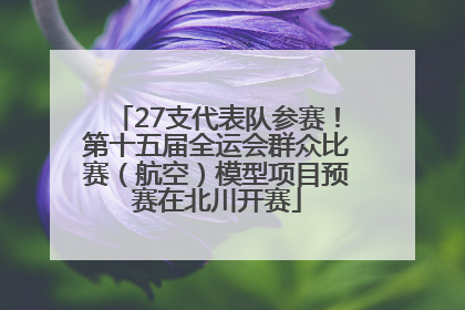 27支代表队参赛！第十五届全运会群众比赛（航空）模型项目预赛在北川开赛