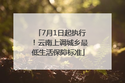 7月1日起执行！云南上调城乡最低生活保障标准