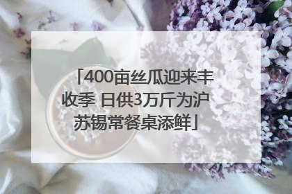 400亩丝瓜迎来丰收季 日供3万斤为沪苏锡常餐桌添鲜