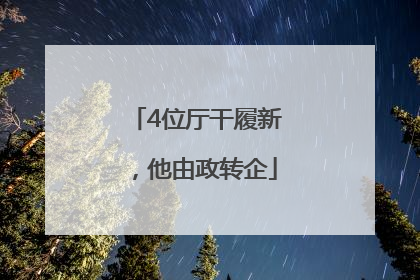 4位厅干履新，他由政转企