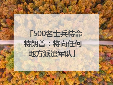500名士兵待命 特朗普：将向任何地方派遣军队