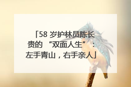 58 岁护林员陈长贵的 “双面人生”：左手青山，右手亲人