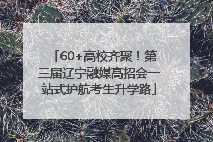 60+高校齐聚！第三届辽宁融媒高招会一站式护航考生升学路