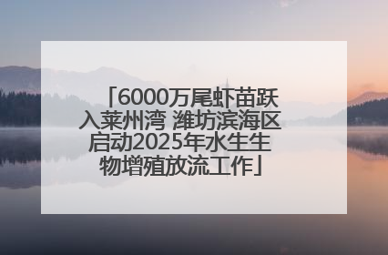 6000万尾虾苗跃入莱州湾 潍坊滨海区启动2025年水生生物增殖放流工作
