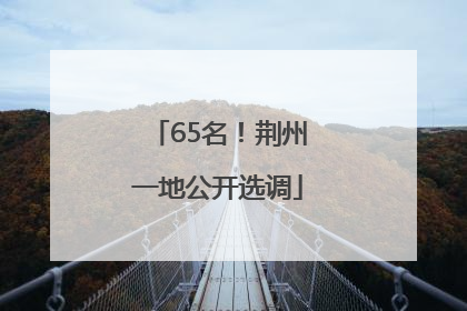 65名！荆州一地公开选调