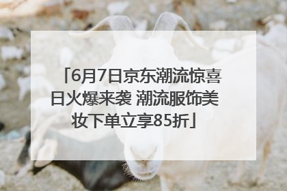 6月7日京东潮流惊喜日火爆来袭 潮流服饰美妆下单立享85折