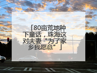 80亩荒地种下童话，珠海这对夫妻“为了家乡我愿意”