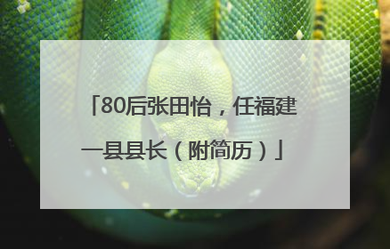 80后张田怡，任福建一县县长（附简历）