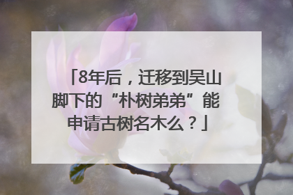 8年后，迁移到吴山脚下的“朴树弟弟”能申请古树名木么？