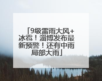 9级雷雨大风+冰雹！淄博发布最新预警！还有中雨局部大雨