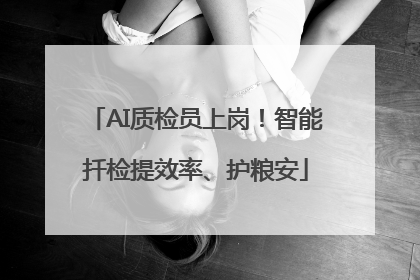 AI质检员上岗！智能扦检提效率、护粮安