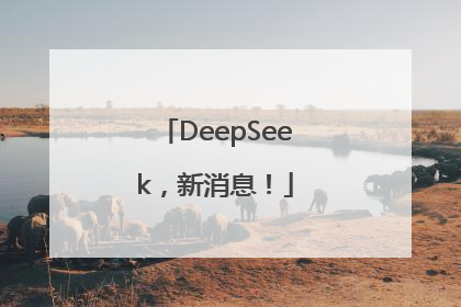 DeepSeek，新消息！