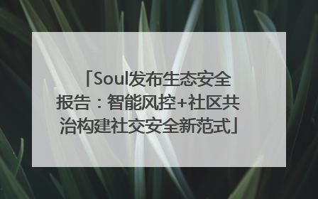 Soul发布生态安全报告：智能风控+社区共治构建社交安全新范式