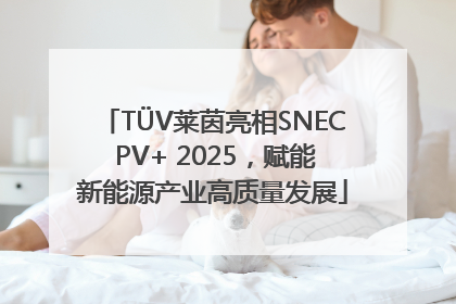 TÜV莱茵亮相SNEC PV+ 2025，赋能新能源产业高质量发展